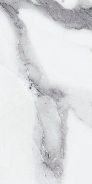 Origines Argent Matte 12 x 24