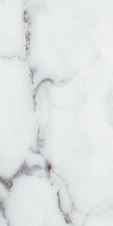 Origines Argent Matte 12 x 24