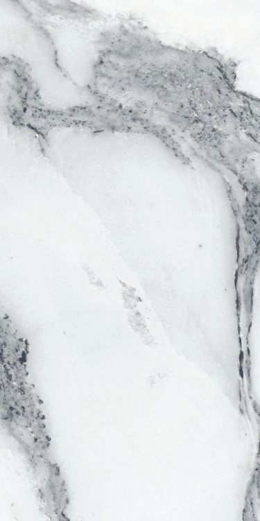 Origines Argent Matte 12 x 24