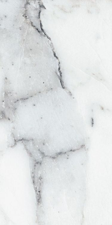 Origines Argent Matte 12 x 24