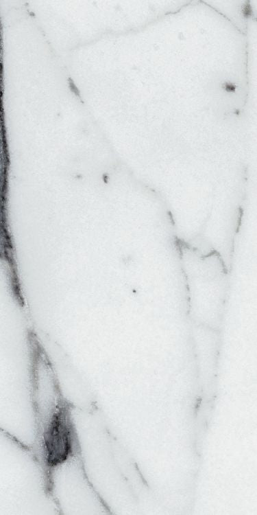 Origines Argent Glossy 12 x 24