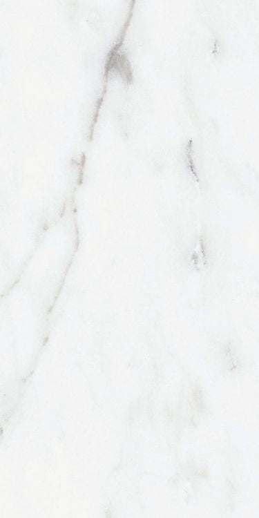 Origines Argent Glossy 12 x 24