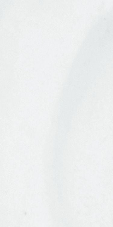 Origines Argent Glossy 12 x 24