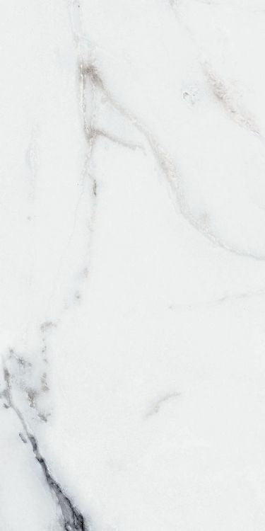 Origines Argent Glossy 12 x 24