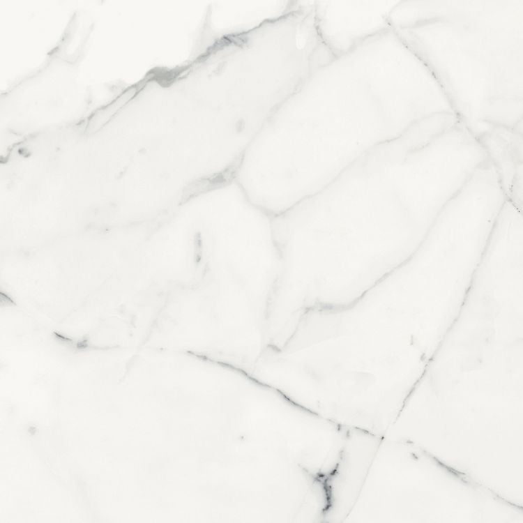 Origines Blanc Matte 24 x 24