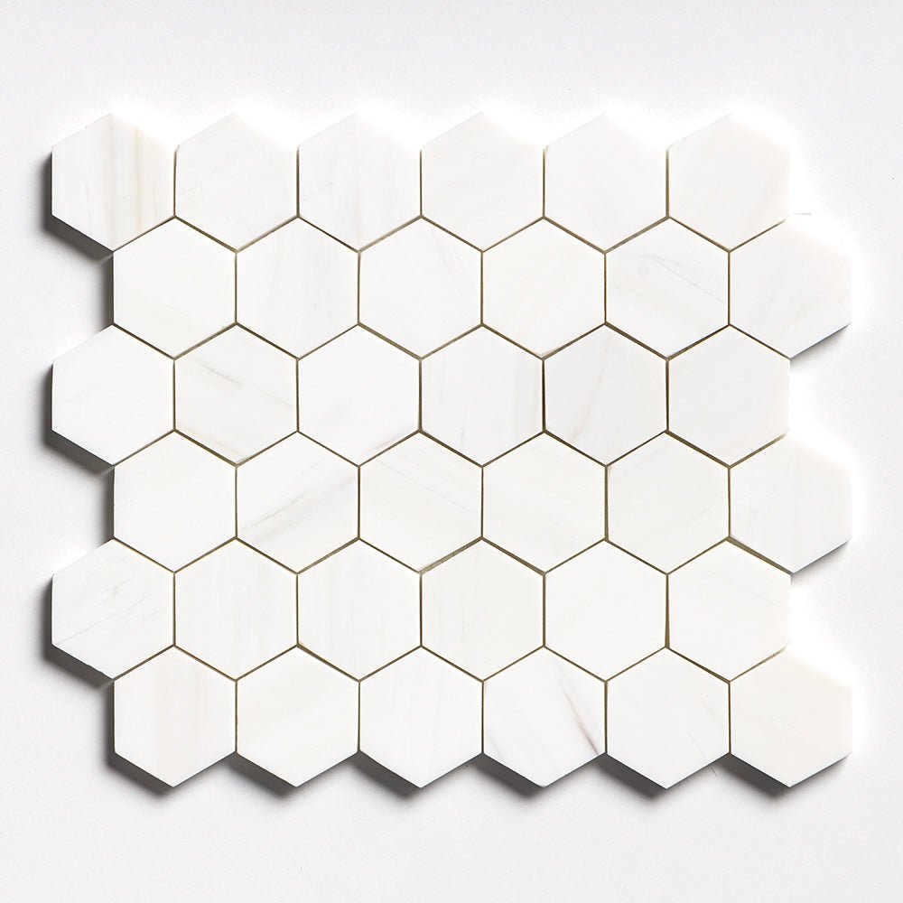 2” Hexagon Dolomite Honed 12 x 12 - Hexagon Interiors