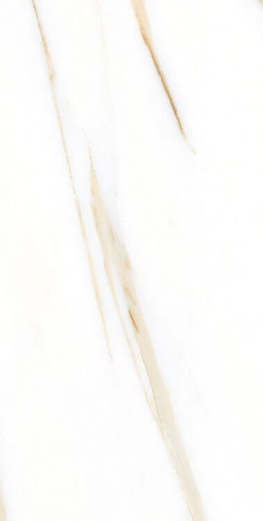 AGL Calacatta Gold Matte 12 x 24