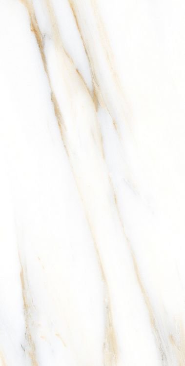 AGL Calacatta Gold Matte 12 x 24