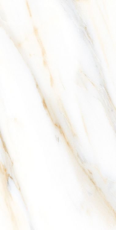 AGL Calacatta Gold Polished 12 x 24