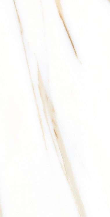 AGL Calacatta Gold Polished 12 x 24 - Hexagon Interiors