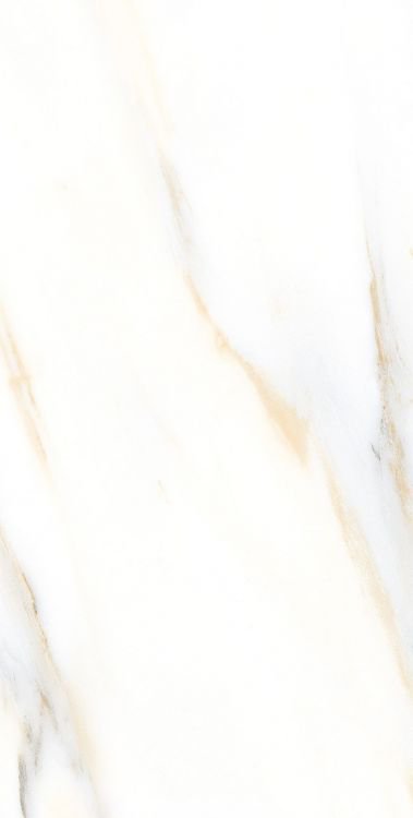 AGL Calacatta Gold Polished 12 x 24