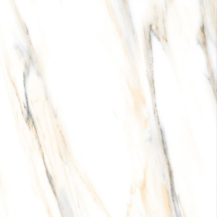 AGL Calacatta Gold Polished 24 x 24