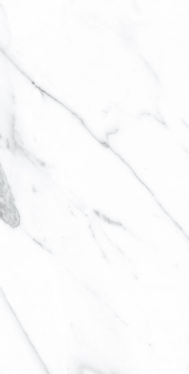 AGL Carrara Matte 12 x 24