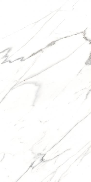 AGL Carrara Matte 24 x 48