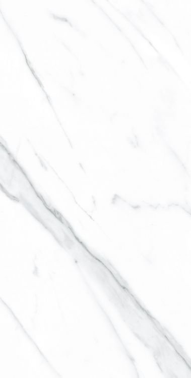 AGL Carrara Polished 12 x 24 - Hexagon Interiors