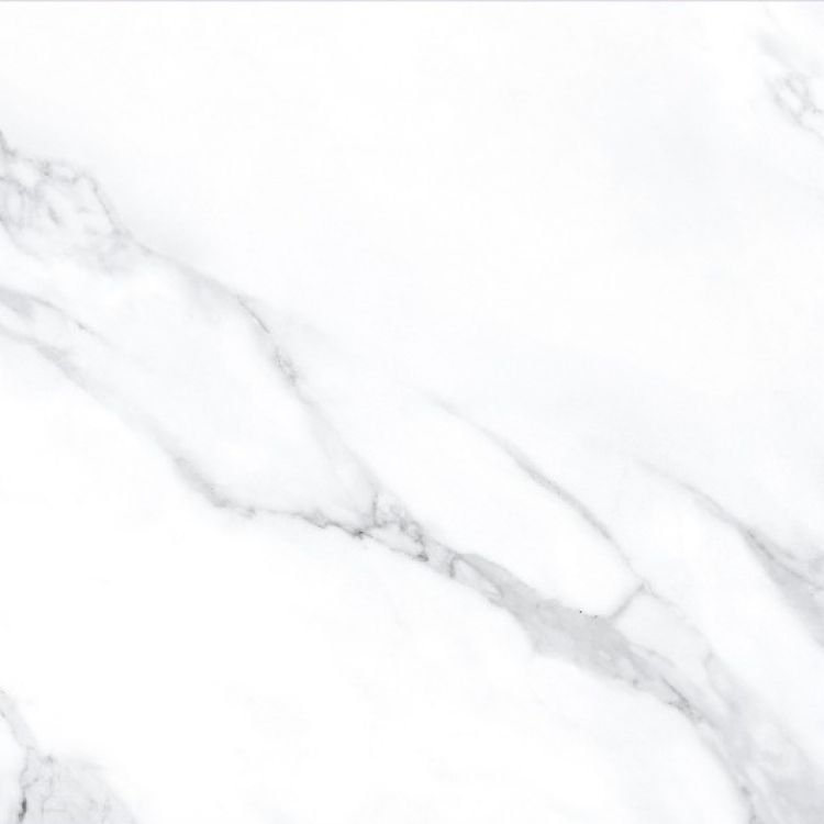 AGL Statuario Matte 24 x 24 - Hexagon Interiors