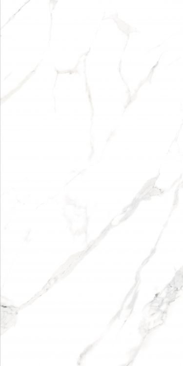 AGL Statuario Matte 24 x 48 - Hexagon Interiors