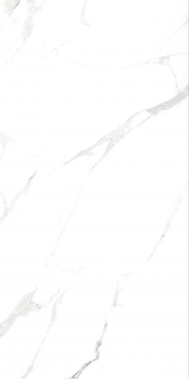 AGL Statuario Matte 24 x 48