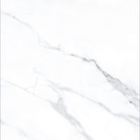 AGL Statuario Polished 24 x 24