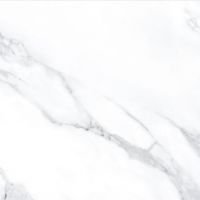 AGL Statuario Polished 24 x 24