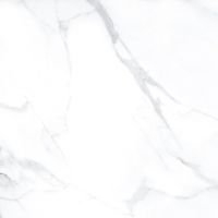 AGL Statuario Polished 24 x 24