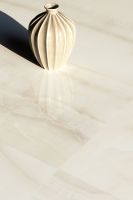 Akoya Ivory Polished 24 x 48