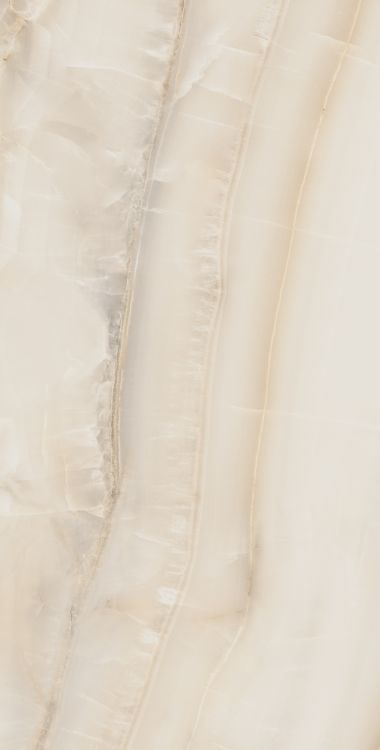 Akoya Ivory Polished 24 x 48