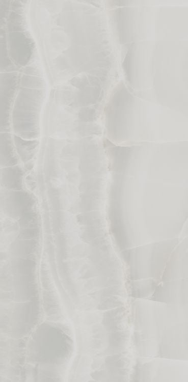 Akoya Silver Polished 12 x 24 - Hexagon Interiors