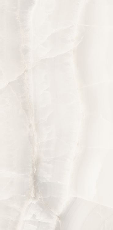 Akoya White Matte 12 x 24