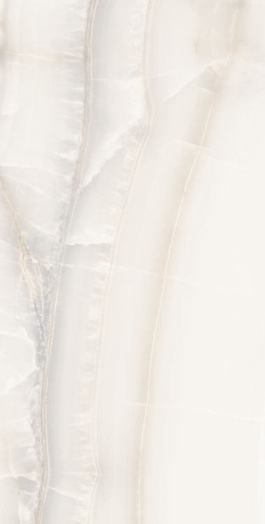 Akoya White Matte 24 x 48