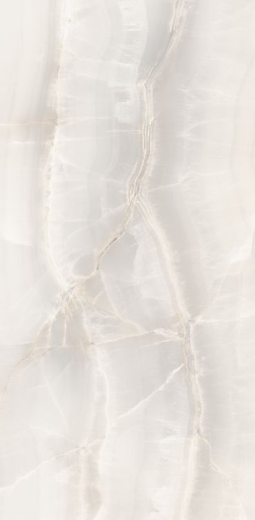 Akoya White Polished 12 x 24