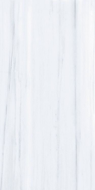 AN Dolomite Supreme Matte 12 x 24