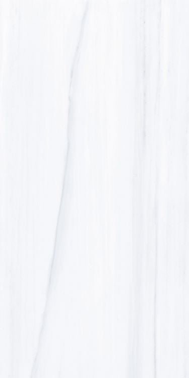 AN Dolomite Supreme Matte 24 x 48