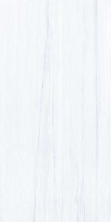 AN Dolomite Supreme Matte 24 x 48