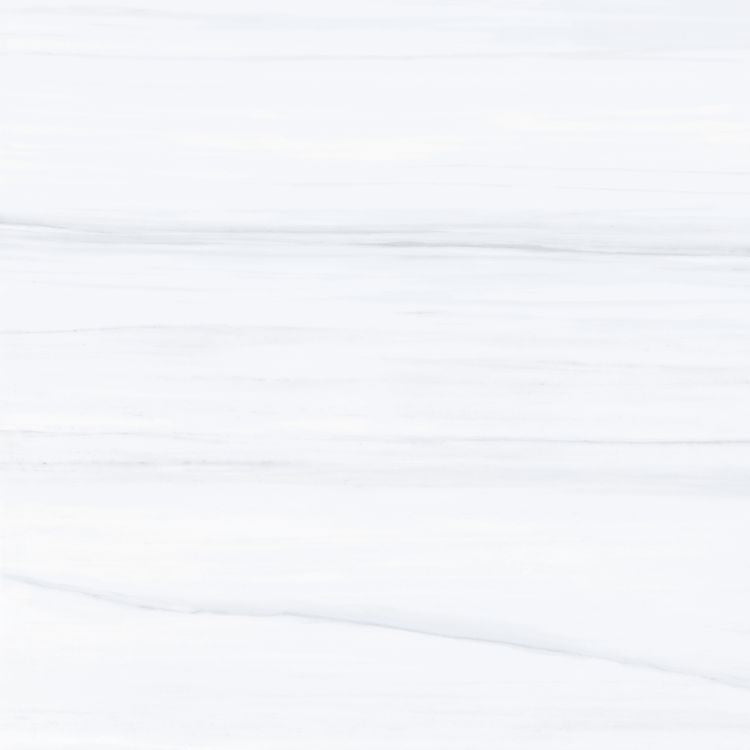 AN Dolomite Supreme Matte 36 x 36 - Hexagon Interiors