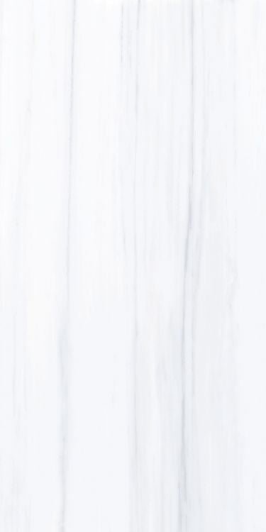 AN Dolomite Supreme Polished 24 x 48