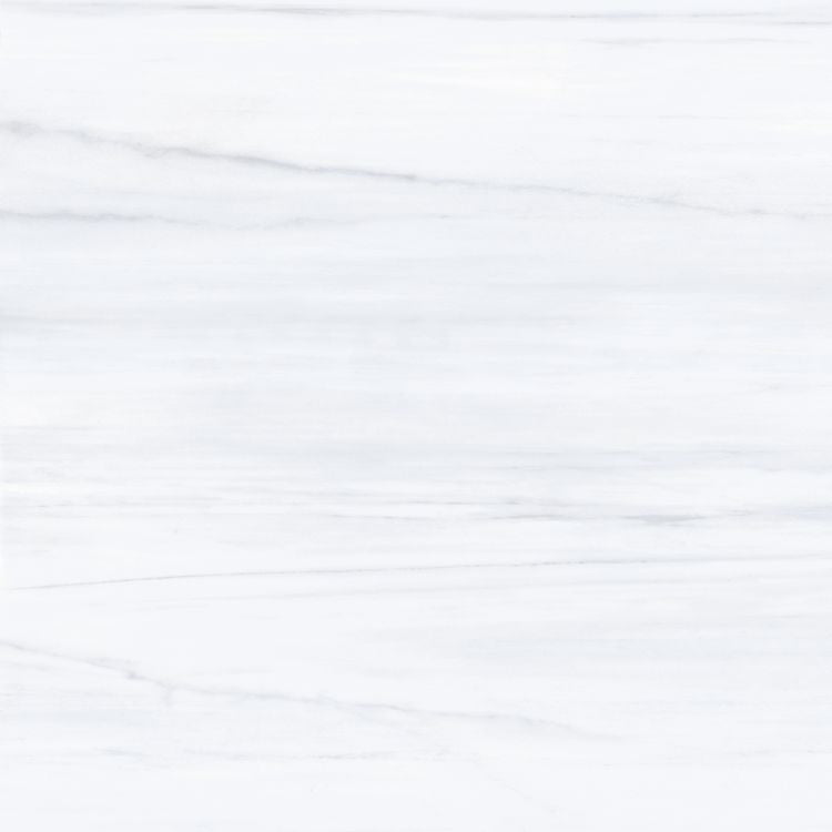 AN Dolomite Supreme Polished 36 x 36 - Hexagon Interiors