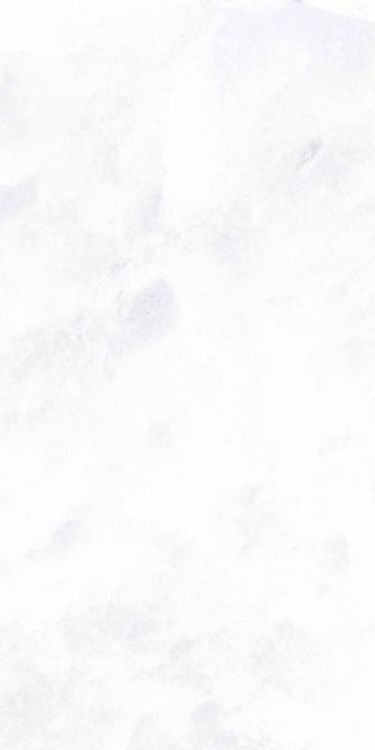 Archisalt Flower Of Salt Lux 12 x 24