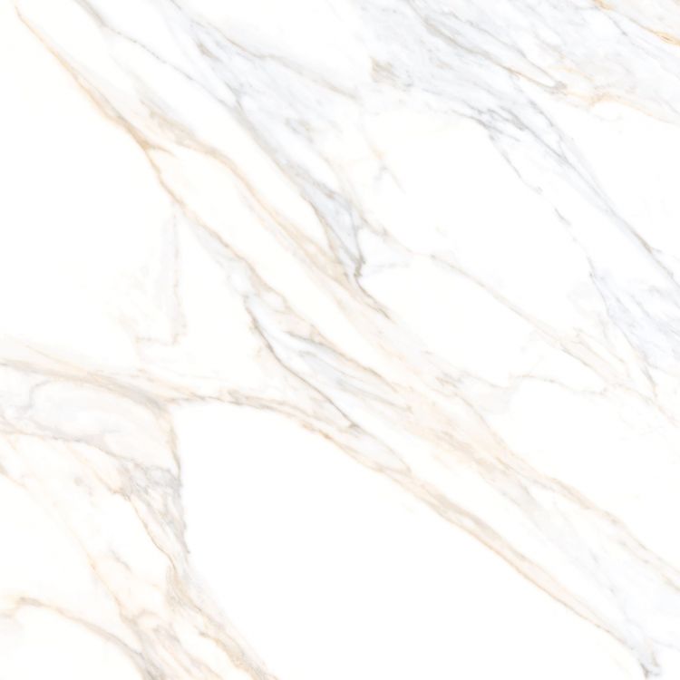Aurum Calacatta Polished 36 x 36