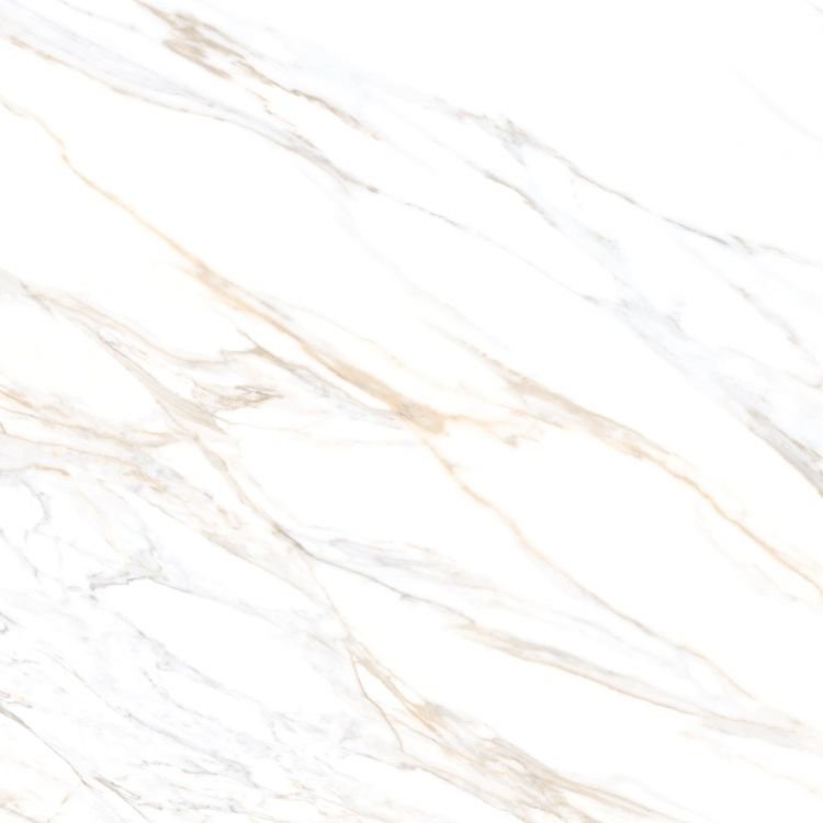 Aurum Calacatta Polished 36 x 36