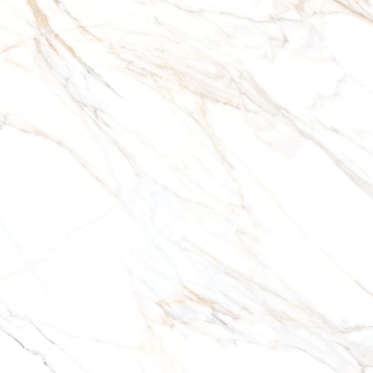 Aurum Calacatta Polished 36 x 36