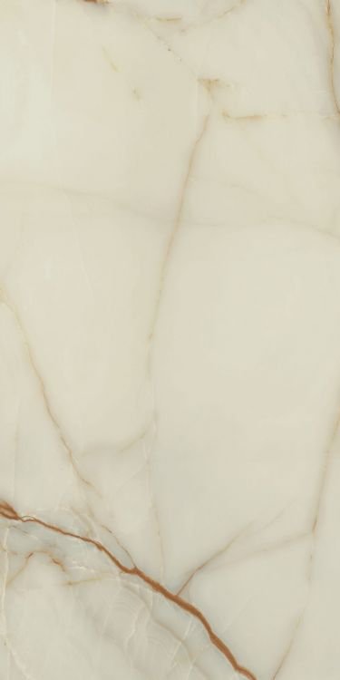 Bijoux Onyx Blanche Glossy 24 x 48