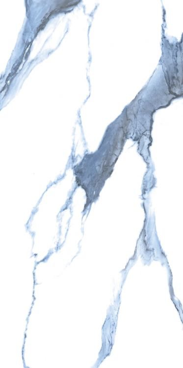 Calacatta Blue Matte 12 x 24