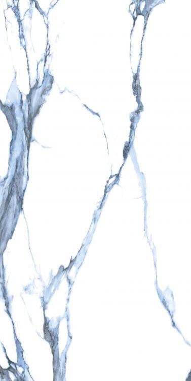 Calacatta Blue Matte 24 x 48