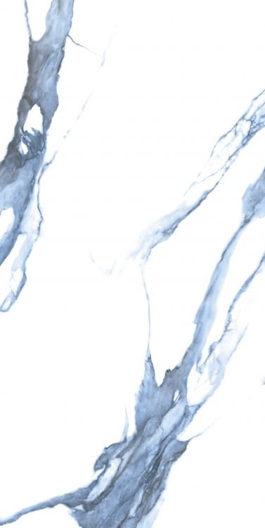 Calacatta Blue Matte 24 x 48