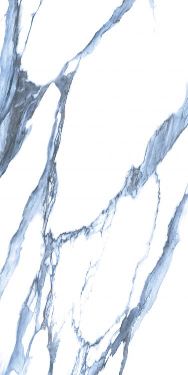 Calacatta Blue Polished 24 x 48