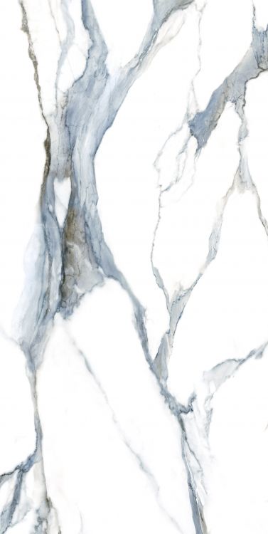 Calacatta Fantasy Acqua Polished 24 x 48 - Hexagon Interiors