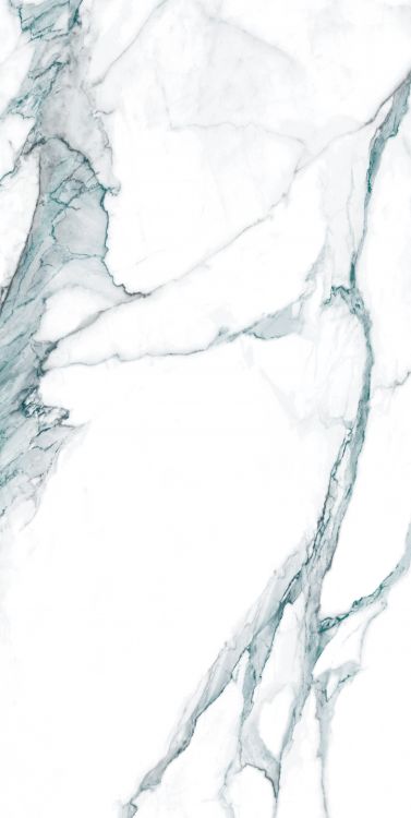 Calacatta Fantasy Green Polished 24 x 48 - Hexagon Interiors