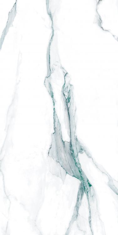 Calacatta Green Polished 24 x 48