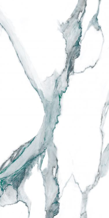 Calacatta Green Polished 24 x 48